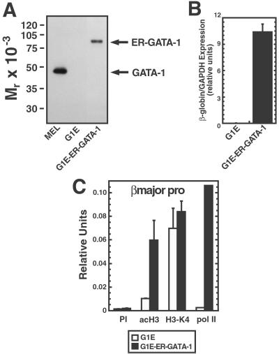 Fig 4.