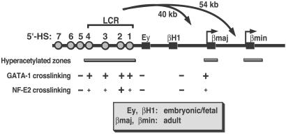 Fig 1.