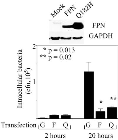 FIG. 2.