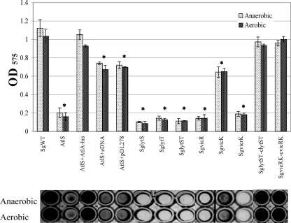 Fig. 8.