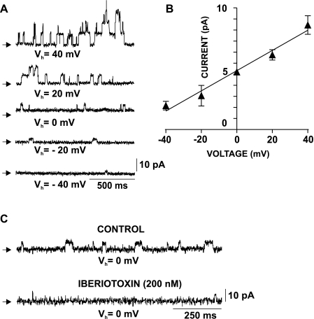 Fig. 7.