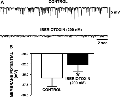 Fig. 8.