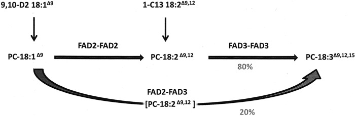 FIGURE 8.