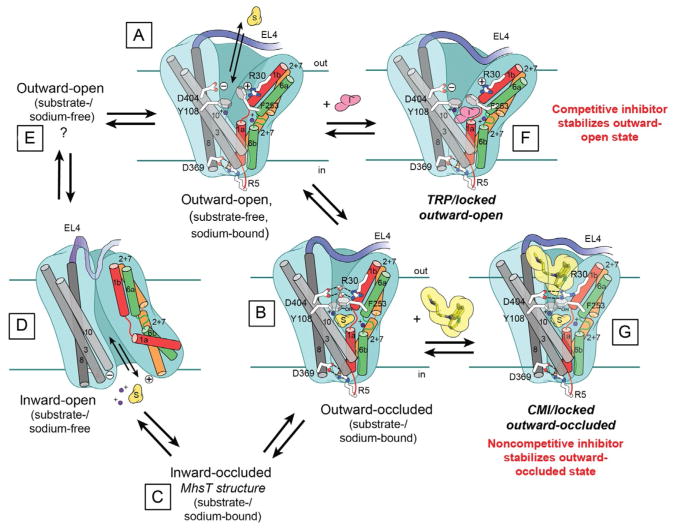 Figure 13