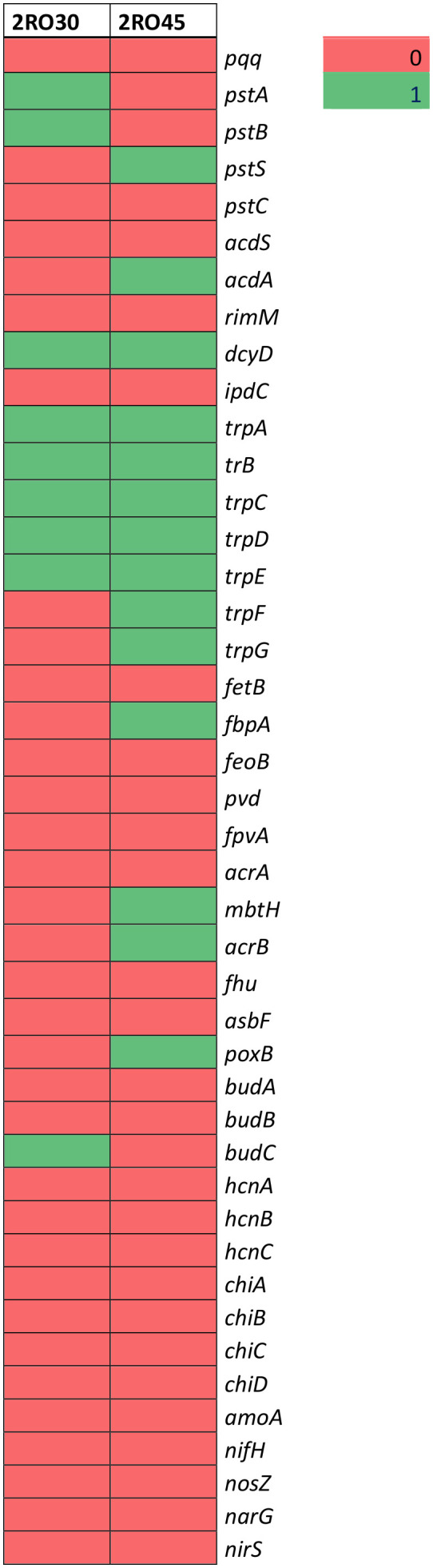 Figure 5