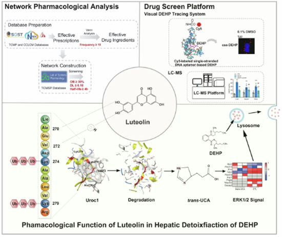 graphic file with name 44321_2024_160_Figa_HTML.jpg