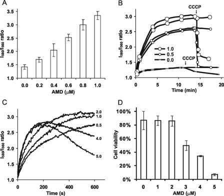 FIGURE 1.