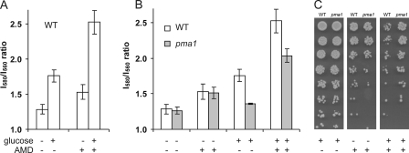 FIGURE 2.