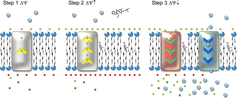 FIGURE 7.