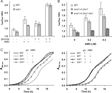 FIGURE 3.