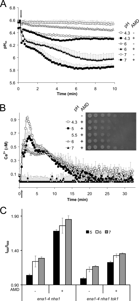 FIGURE 6.