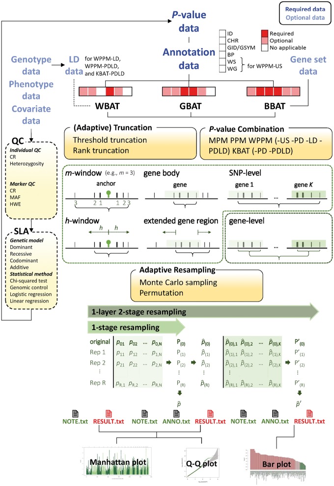 Figure 1