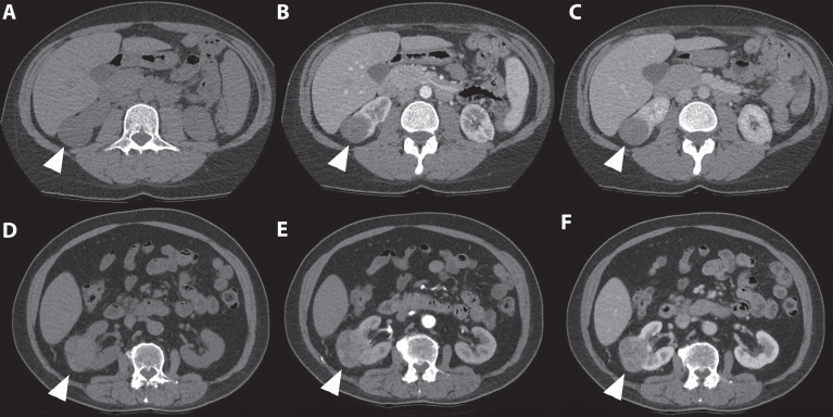 Fig. 5