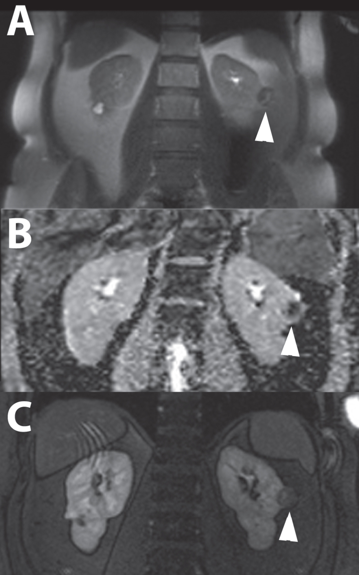 Fig. 8