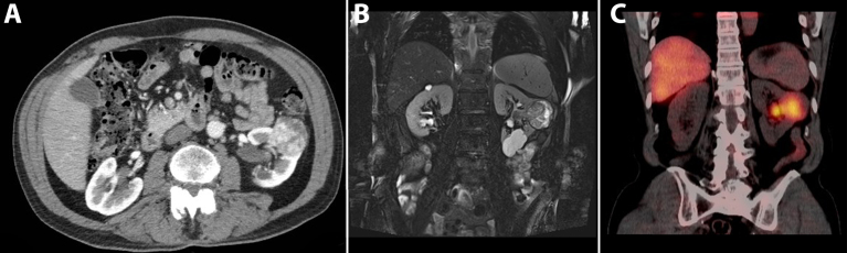 Fig. 9