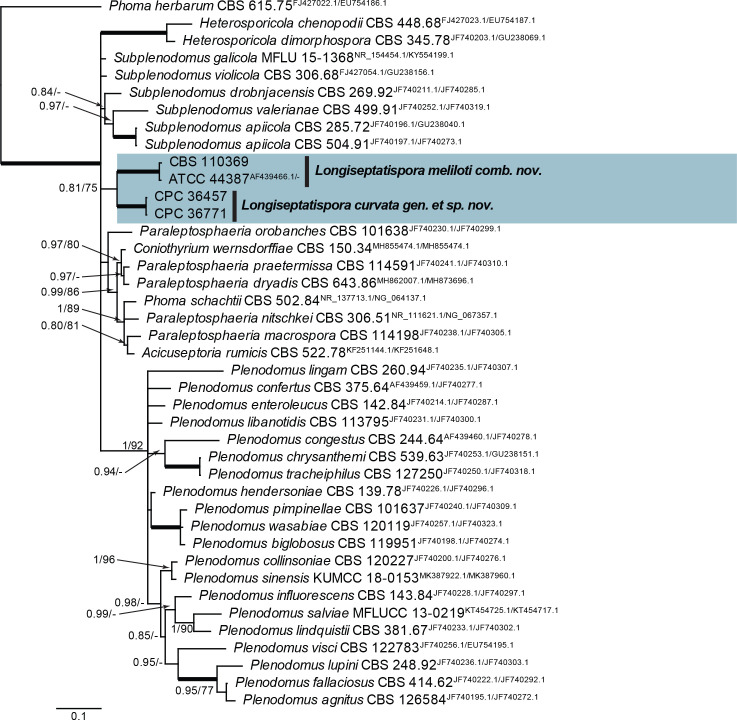 Fig. 33.