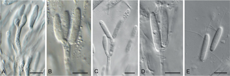 Fig. 14.