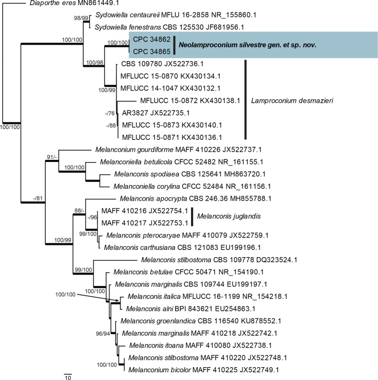 Fig. 39.