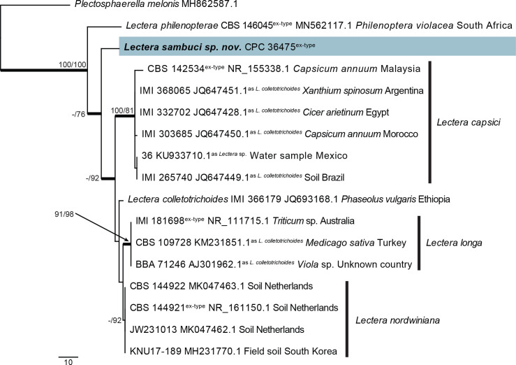 Fig. 30.