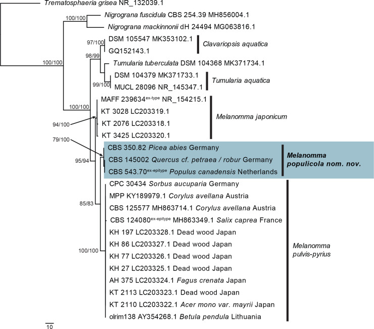 Fig. 36.