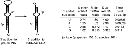 Figure 9.