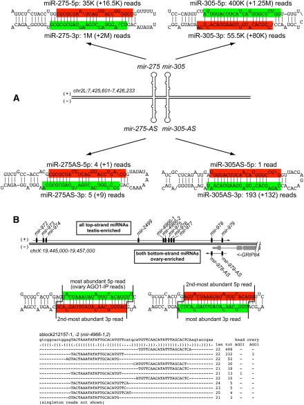 Figure 5.