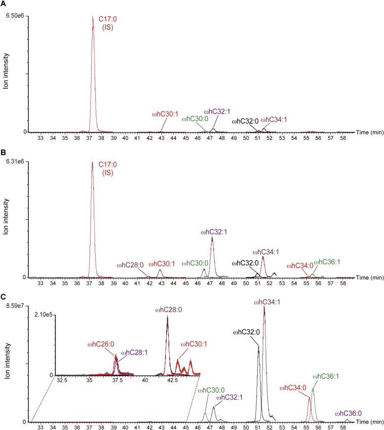 Fig. S5.