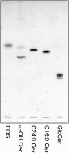 Fig. S4.