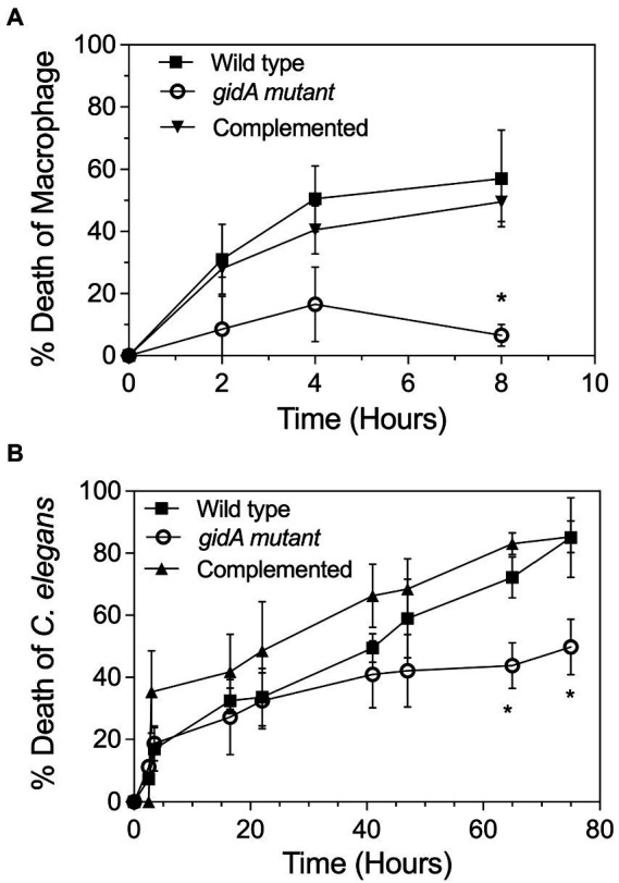 Figure 5