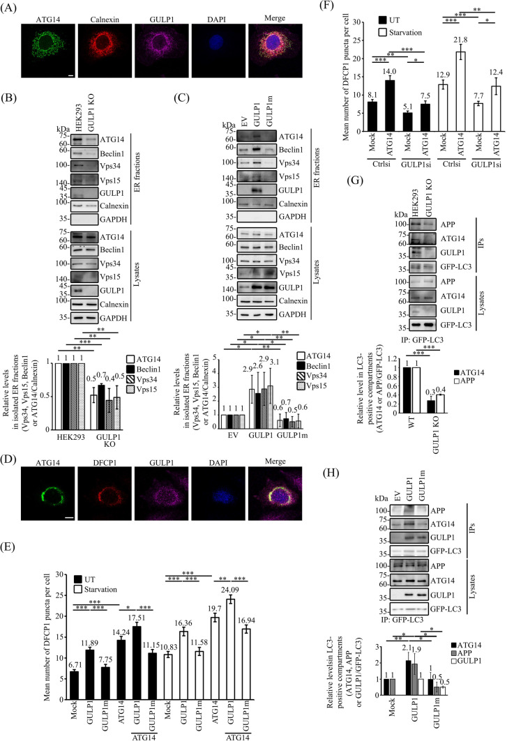 Fig. 4