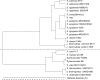 FIG. 6.