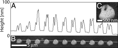 Fig. 3.