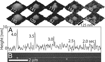 Fig. 4.