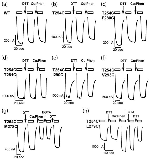 Fig 4