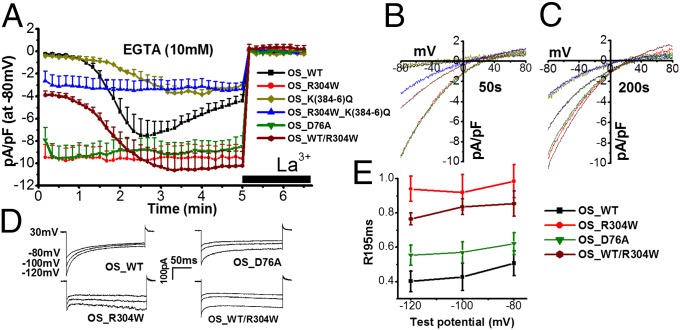 Fig. 3.