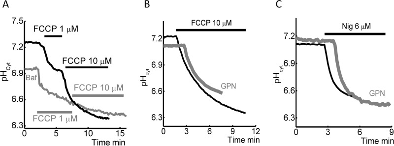 FIGURE 4.