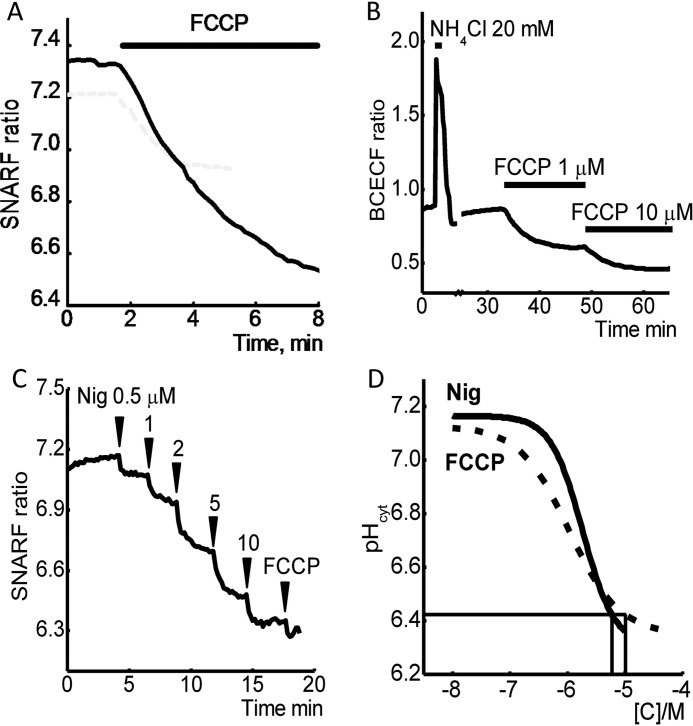 FIGURE 1.