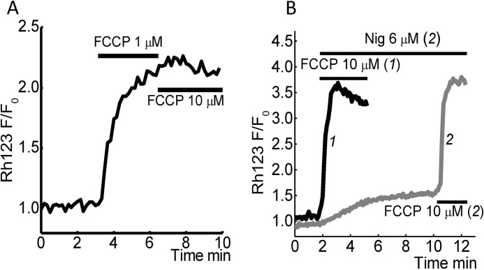 FIGURE 2.