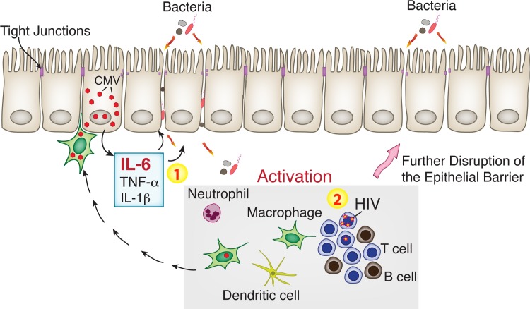 Fig 10