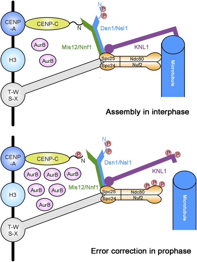 Fig. 7.