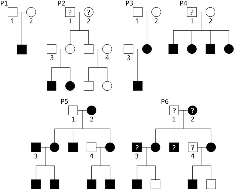 Figure 1: