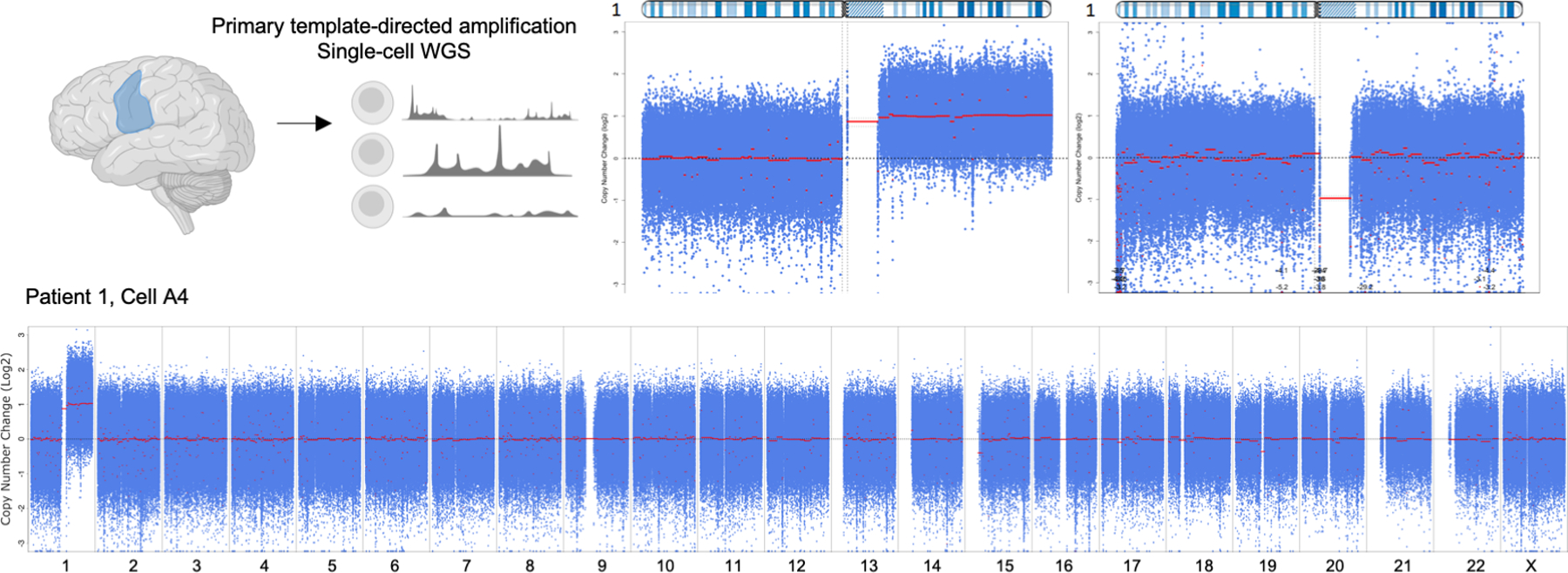 Extended Data Fig. 1.