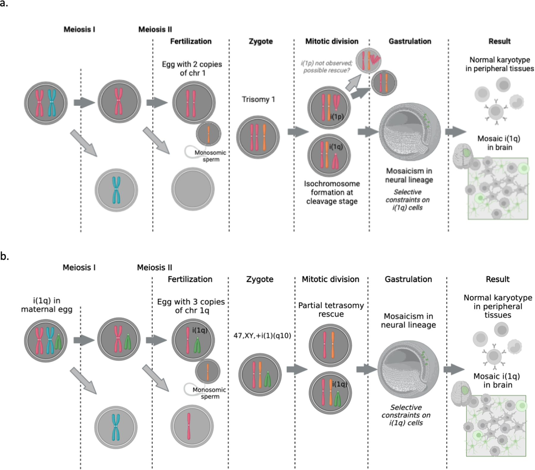 Extended Data Fig. 8.