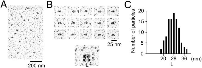 Fig. 3.