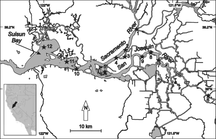 Fig. 1