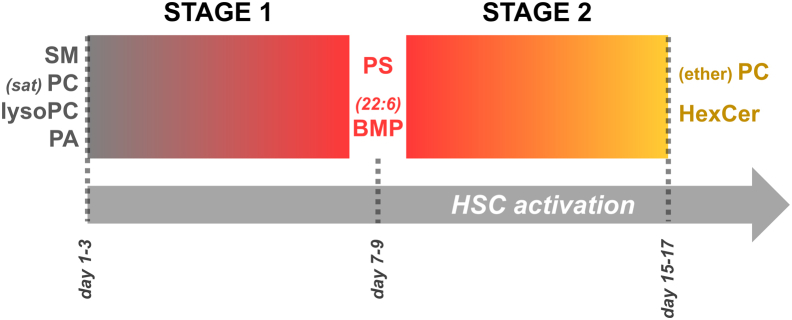 Figure 7