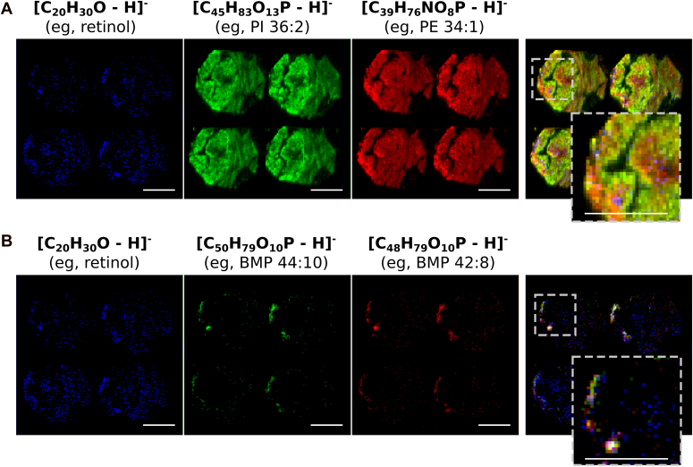 Figure 6