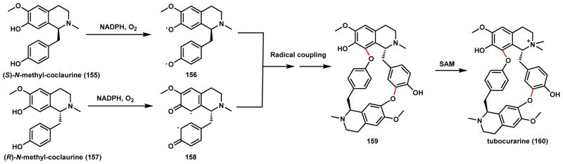 Scheme 27