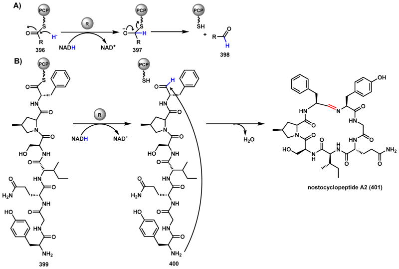 Scheme 56