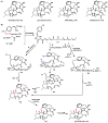 Scheme 30